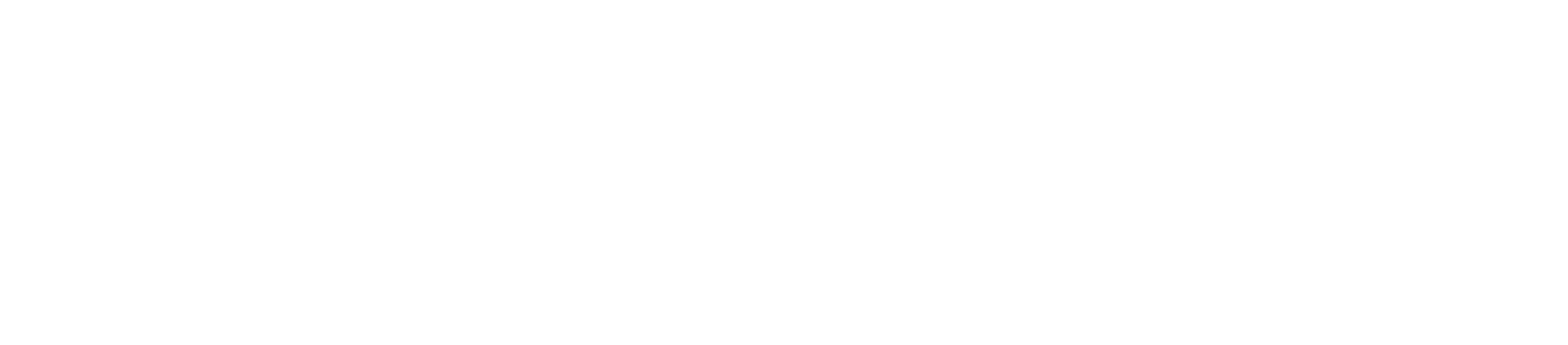 LaserWorks DS